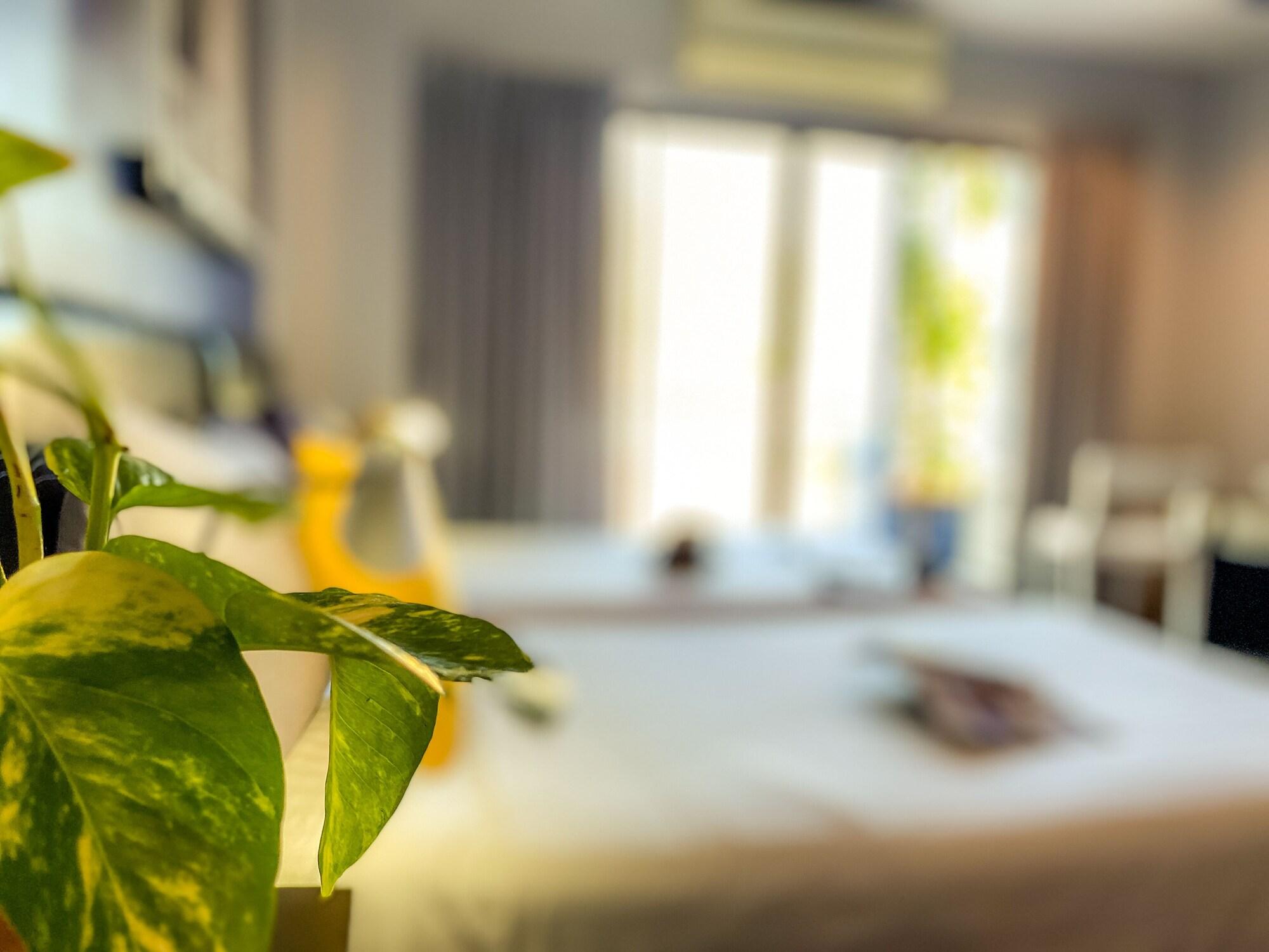 Sino Inn Phuket Hotel - Sha Plus Eksteriør billede